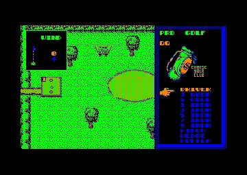 Pro Golf (UK) (1987) (Pebble Beach) screen shot game playing